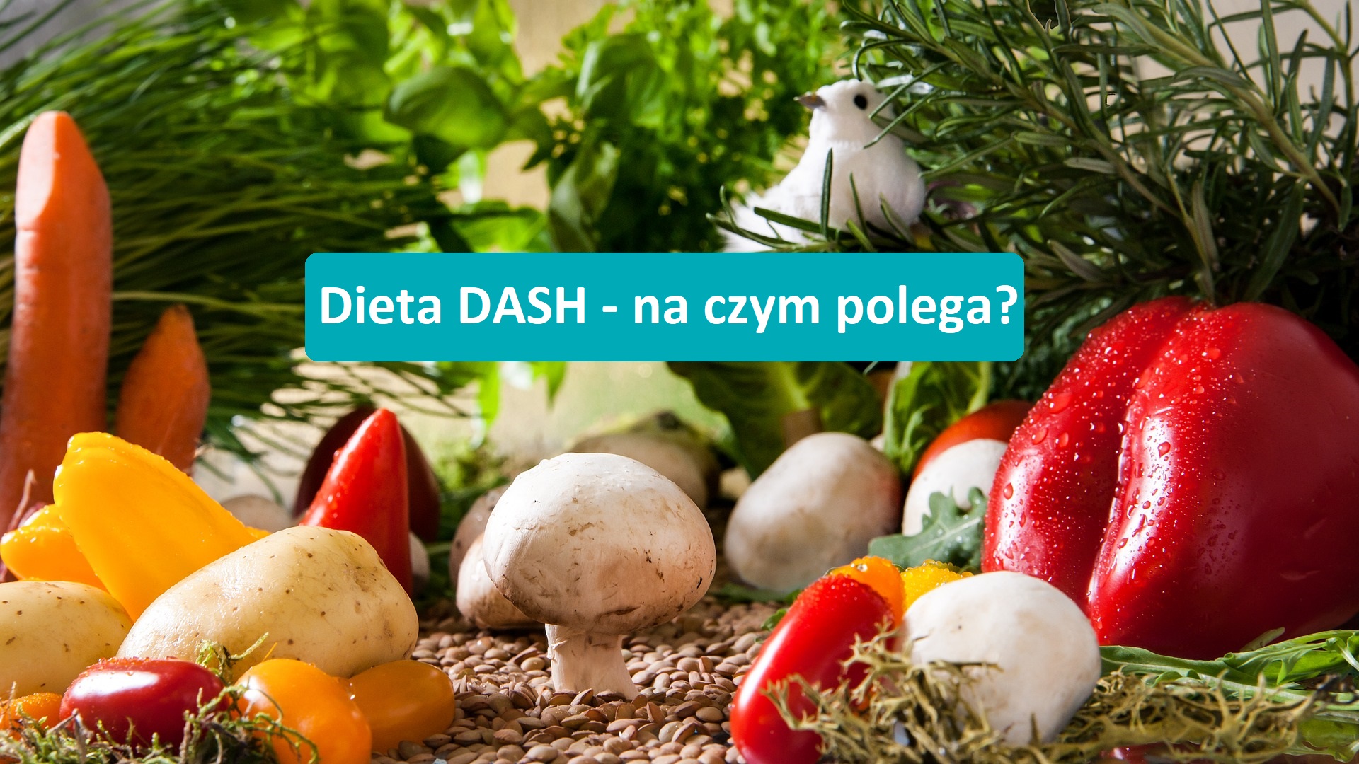 Dieta DASH – na czym polega? Charakterystyka i zalecenia.